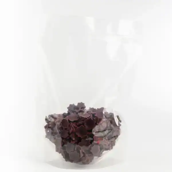 Aroniju pastilas