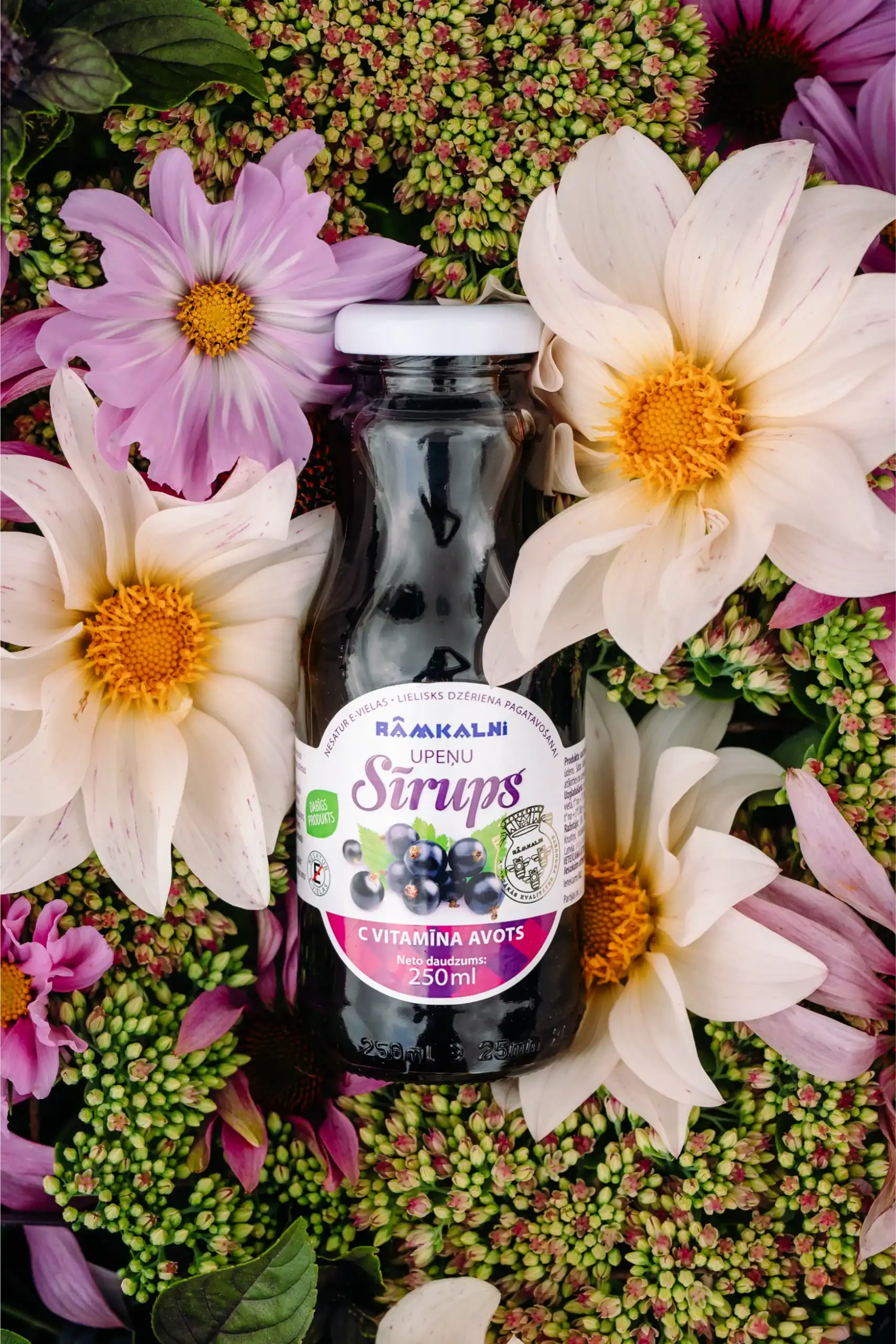 Augstas kvalitātes dabīgais sīrups ar ogām, Ramkalni zīmols, 250ml.